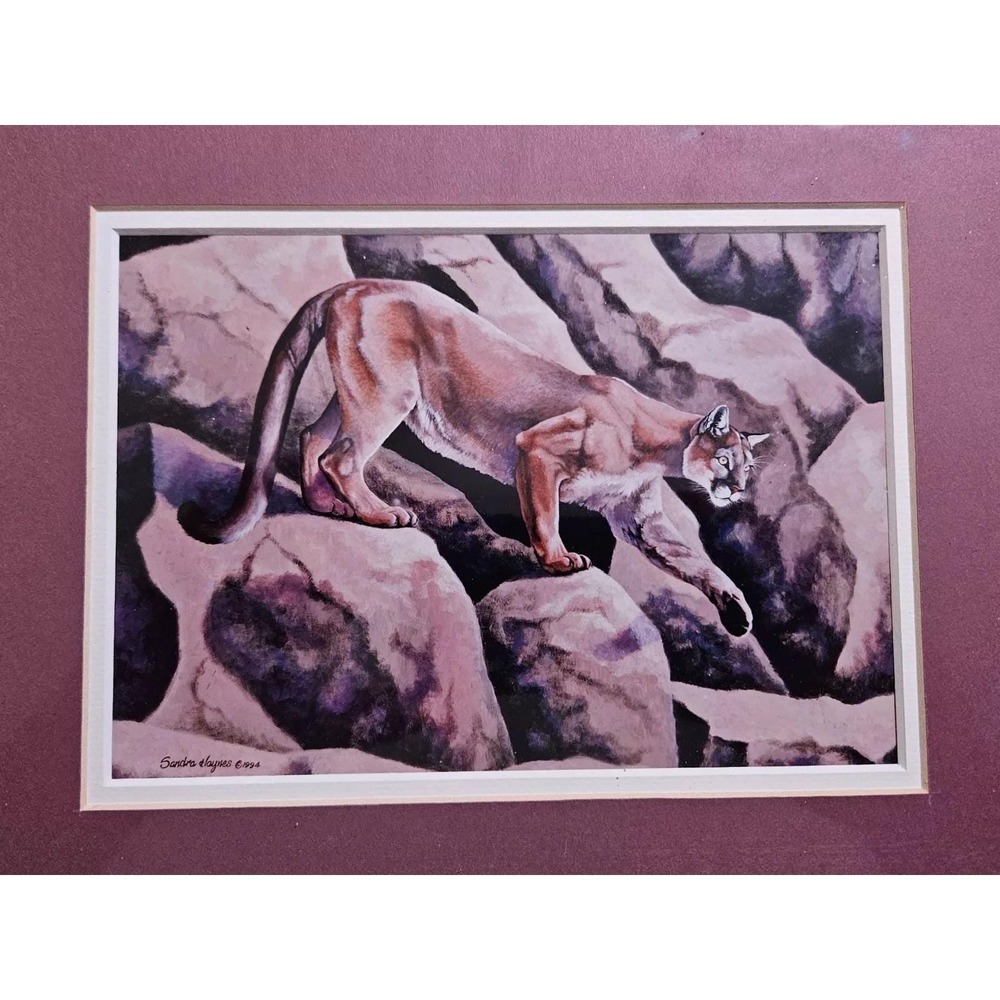 Mountain Lion Signed Print by Sandra Haynes 1994 Sandra Haynes